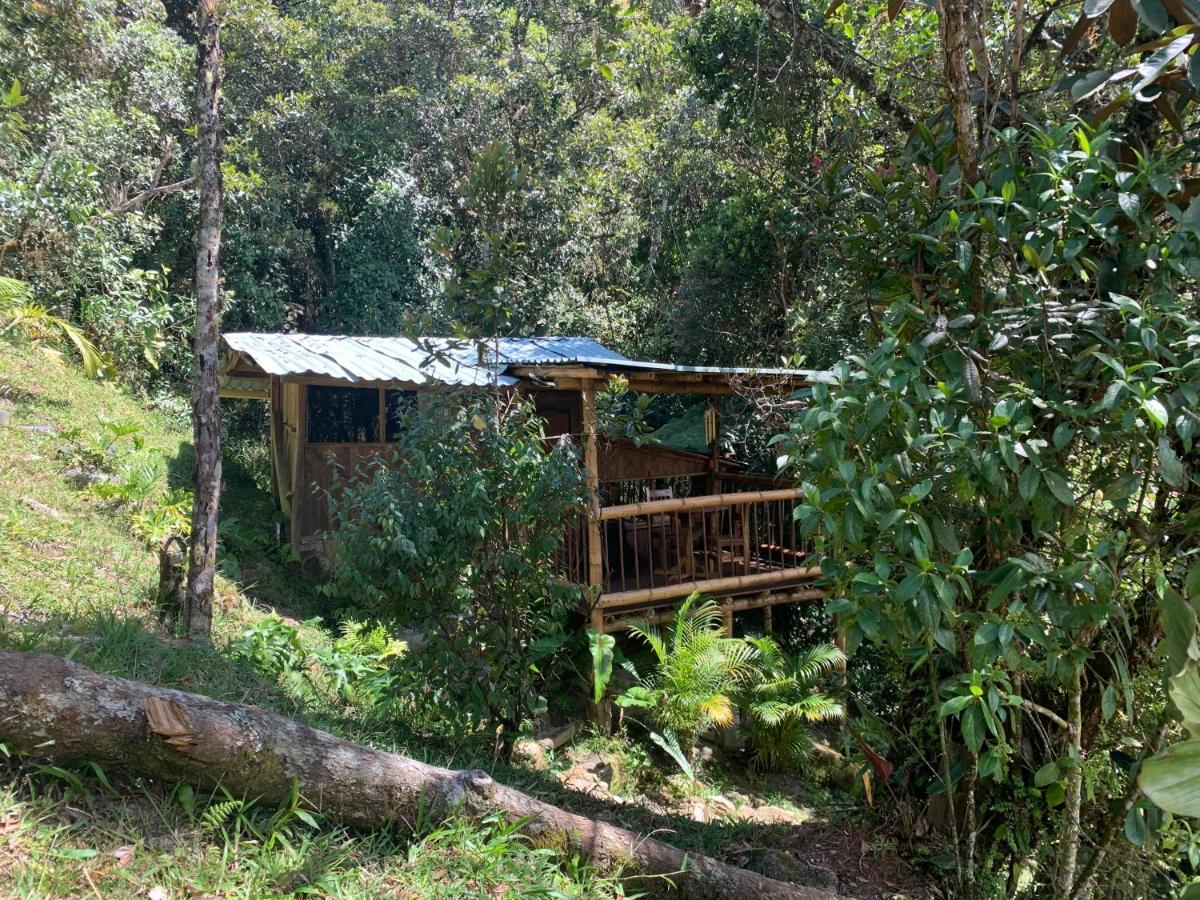 La Casa De Loto Retreat Guatapé Exterior foto